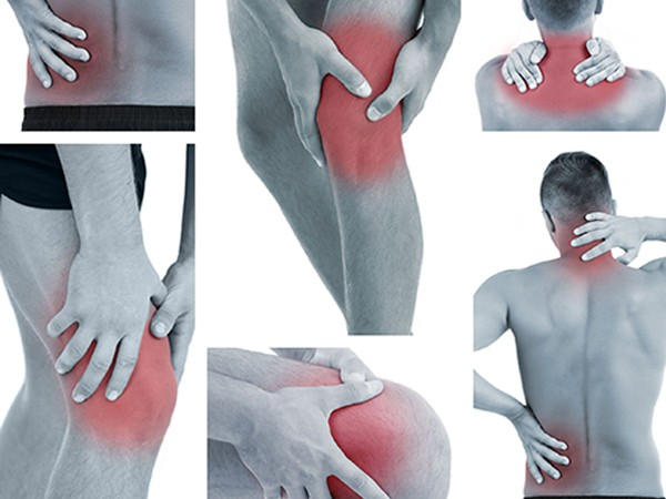 Viên Xương Khớp BỒNG CỐT ĐAN, Giúp Hỗ Trợ Làm Giảm Đau Nhức Xương Khớp, Giảm Đau Lưng, Thoát Vị Đĩa Đệm