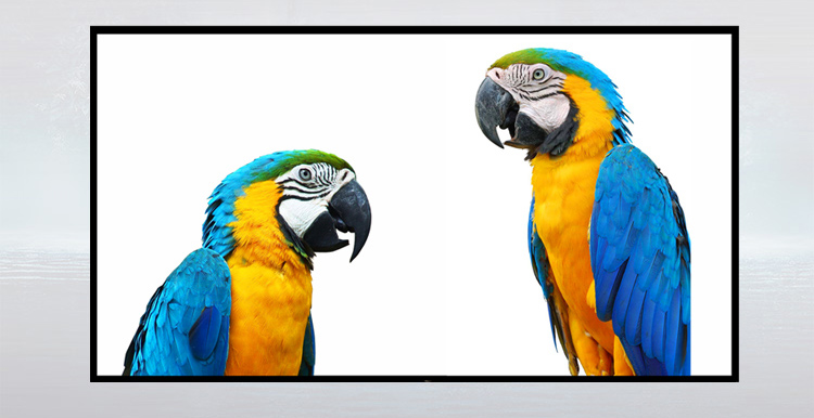 Màn Chiếu Kagaku 100 Inches Màn Chiếu Kagaku 100 Inches