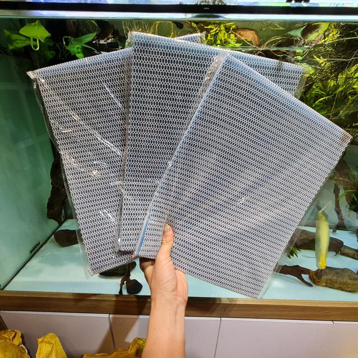 5 Thảm bông lọc Bể Cá loại 6D 50x11x2cm - Lọc sạch cặn bẩn hồ thủy sinh