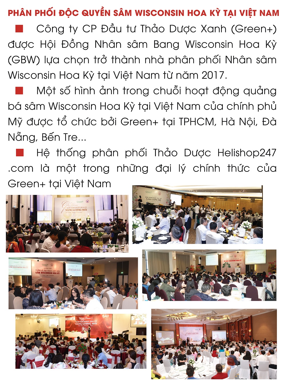 Nhân Sâm Wisconsin Hoa Kỳ - Loại Thượng hạng 6 năm tuổi - Nguyên củ