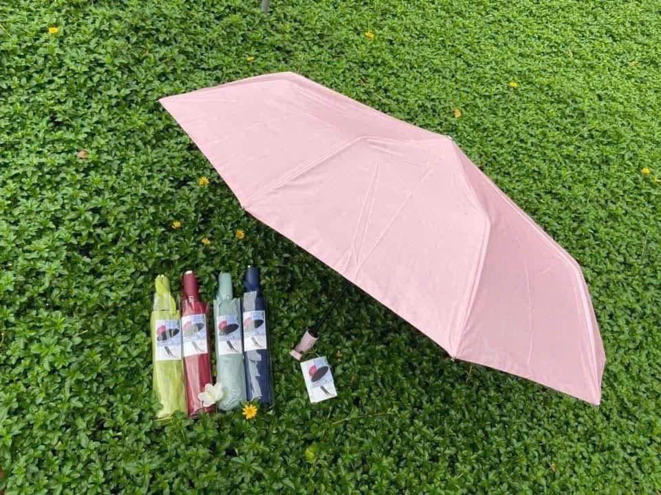 Ô thông minh tự động UV Ajisai Made in Japan Hàng chính hãng