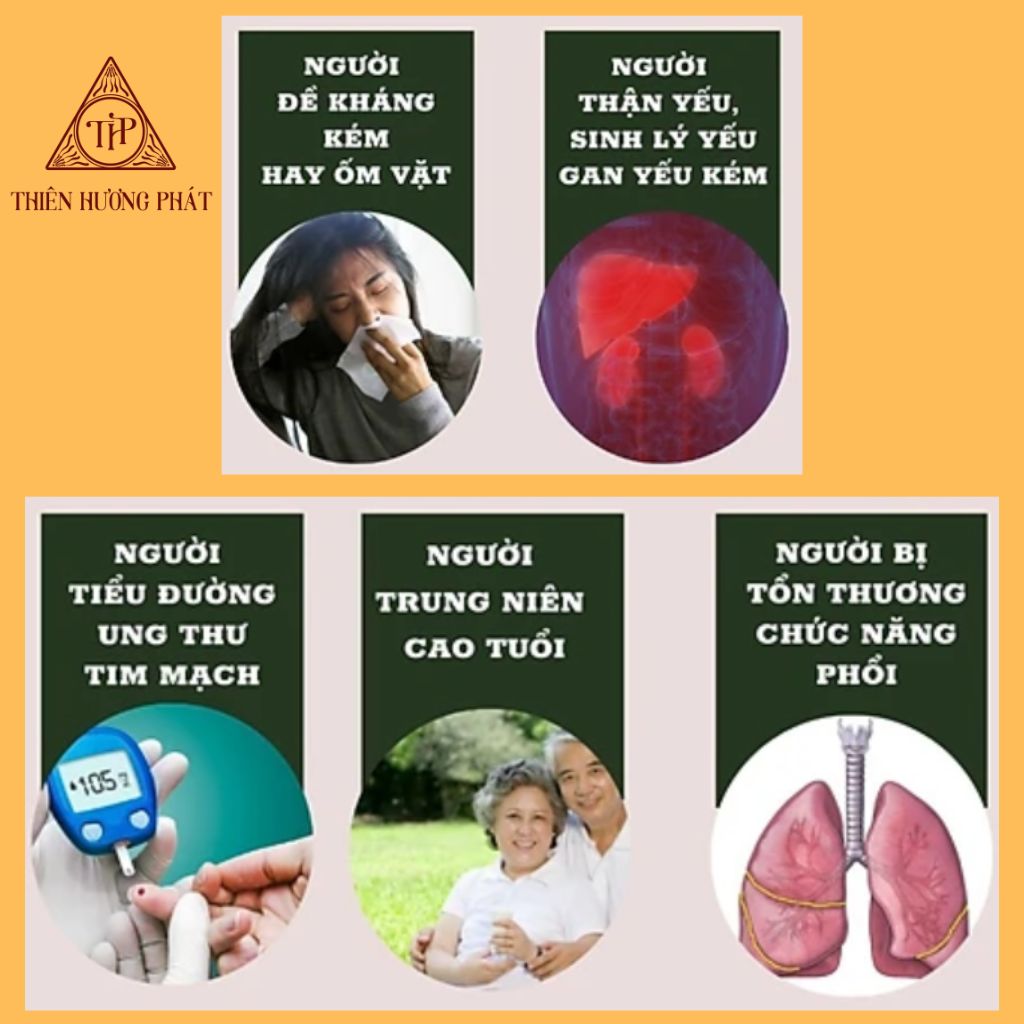 Đông Trùng Hạ Thảo Sấy Thăng Hoa Cao Cấp (hũ 12 gram) - Thiên Hương Phát Đà Lạt