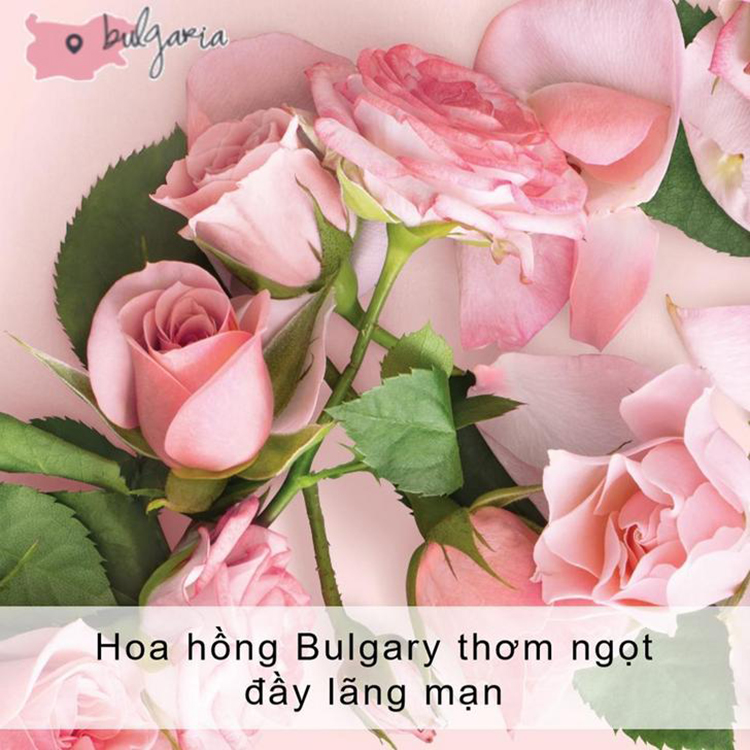 Combo Chăm Sóc Tóc Nhuộm Dầu Gội & Dầu Xả Love Beauty And Planet (400ml x 2)