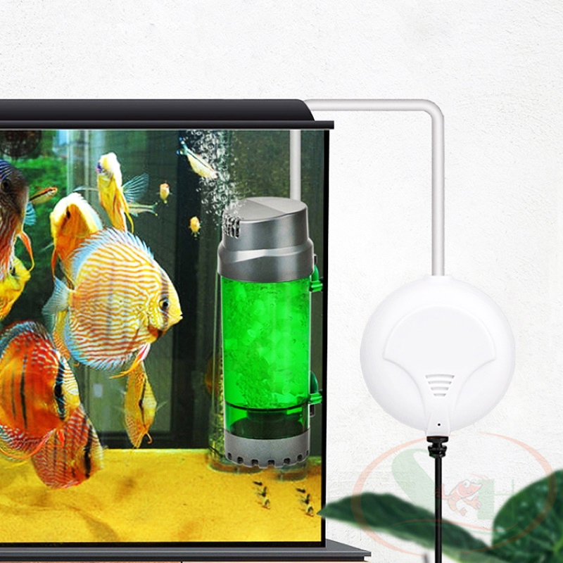 Lò đảo kaldnes Qanvee LH 300, 600 lọc tạo vi sinh bể cá tép