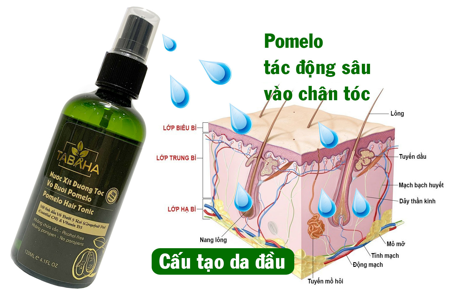 Tinh dầu bưởi dưỡng tóc Pomelo Tabaha 120ml giúp giảm rụng tóc cho mẹ sau sinh
