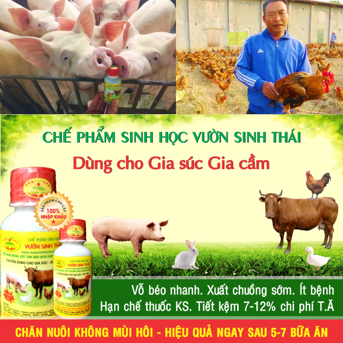 Chế phẩm sinh học VƯỜN SINH THÁI chăn nuôi Vỗ Béo không Mùi Hôi - Vật nuôi chắc thịt lớn nhanh ít bệnh dịch - Thức ăn bổ sung cho chó mèo lợn gà