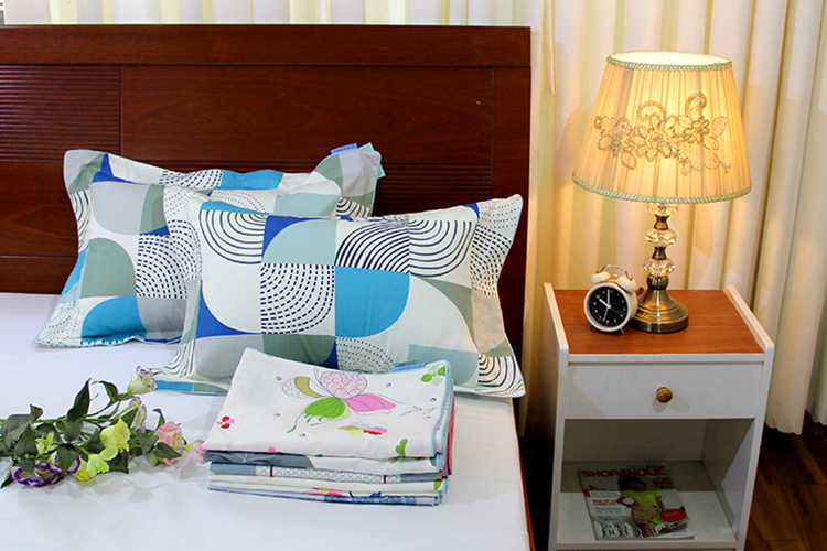 Bộ 2 Áo Gối Đầu Thắng Lợi (Màu Ngẫu Nhiên)