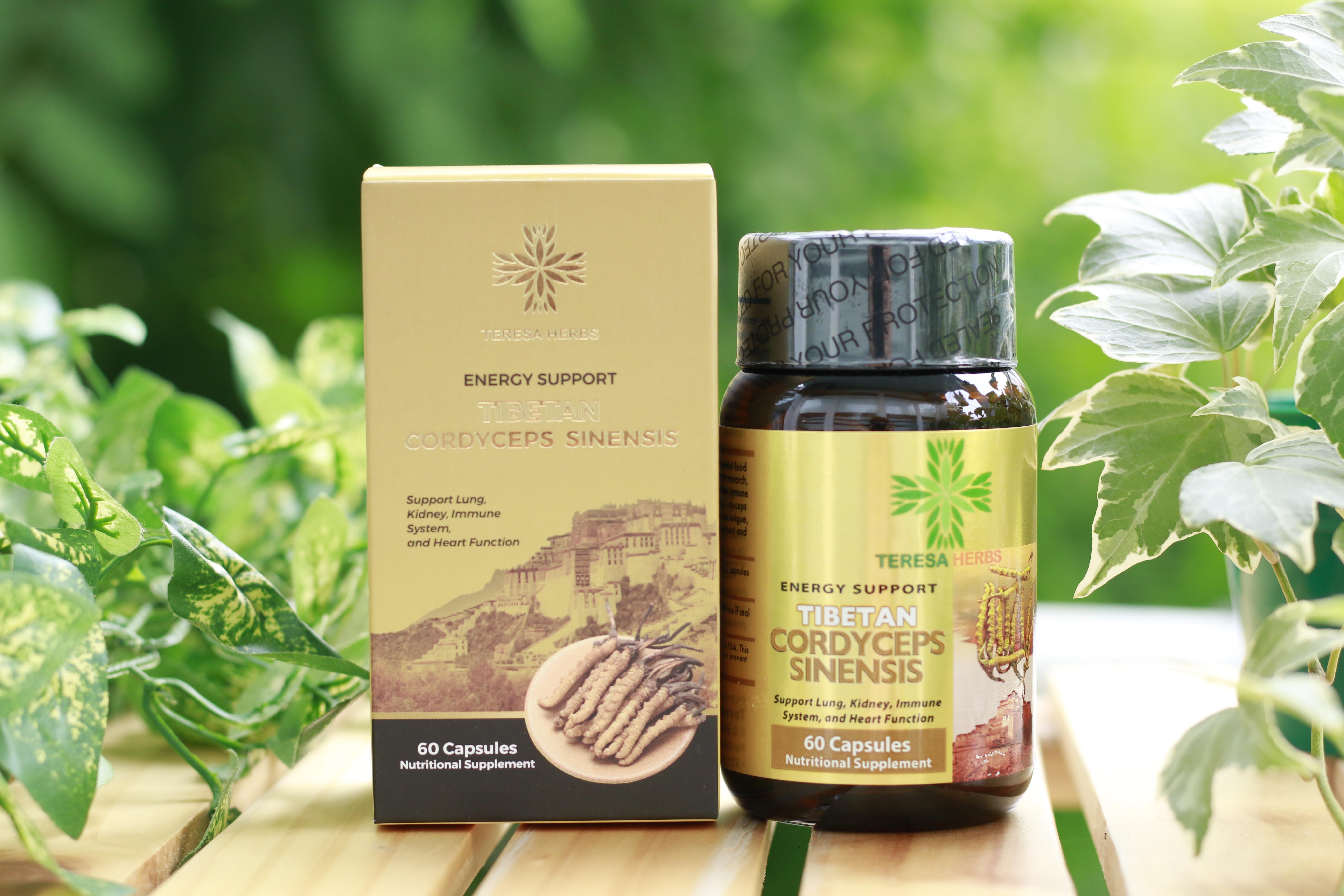 Đông Trùng Hạ Thảo Tây Tạng Teresa Herbs: Bổ Thận, Bổ Phổi, Bổ Tim, Tăng Cường Đề Kháng 60 viên