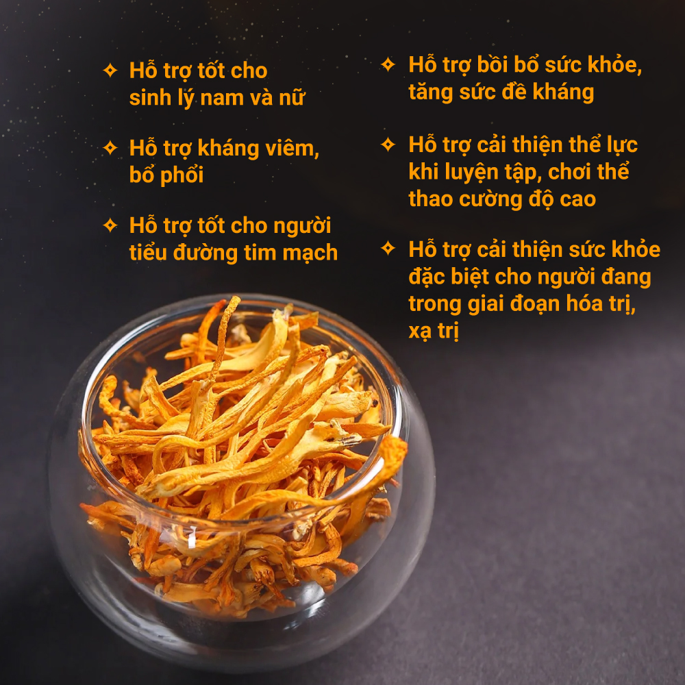 đông trùng hạ thảo bán tự nhiên