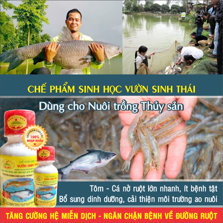 Chế phẩm sinh học VƯỜN SINH THÁI cho Tôm, Cá, Ếch. Nở ruột, chắc thịt, lớn nhanh. Vi sinh NANO siêu vượt trội. Hiệu quả ngay sau 5-7 ngày. HSD: 4 năm