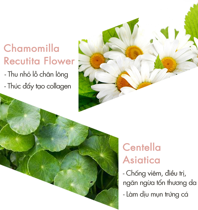 Tinh chất dưỡng chuyên sâu, phục hồi và điều trị da sau 30 ngày F2G Science 30Days Florawater Ampoule Program (2ml x 30pcs)