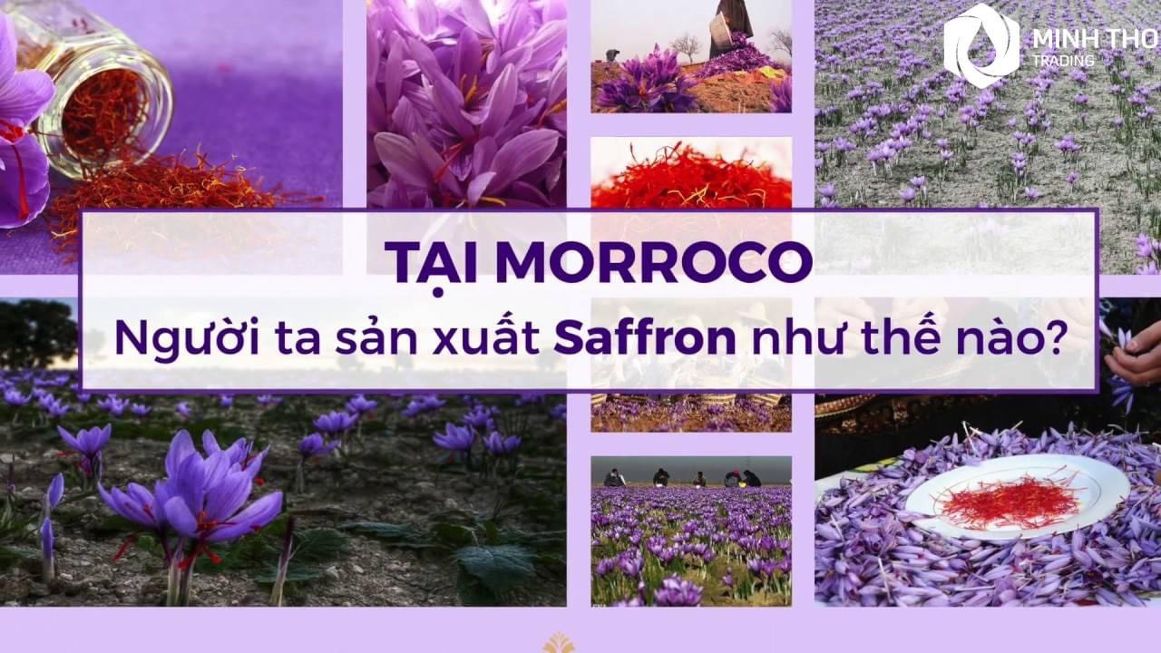 Nhụy hoa nghệ tây Tashrifat Saffron Premium Negin Iran 3g, chống lão hóa, làm sáng da,Tăng đề kháng, miễn dịch, giảm stress, cải thiện giấc ngủ, tăng khả năng tập trung.