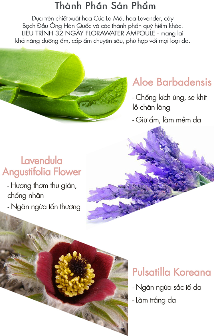 Tinh chất dưỡng chuyên sâu, phục hồi và điều trị da sau 30 ngày F2G Science 30Days Florawater Ampoule Program (2ml x 30pcs)