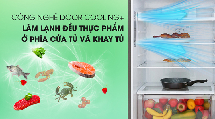 Tủ Lạnh Inverter LG GN-M422PS (393L)