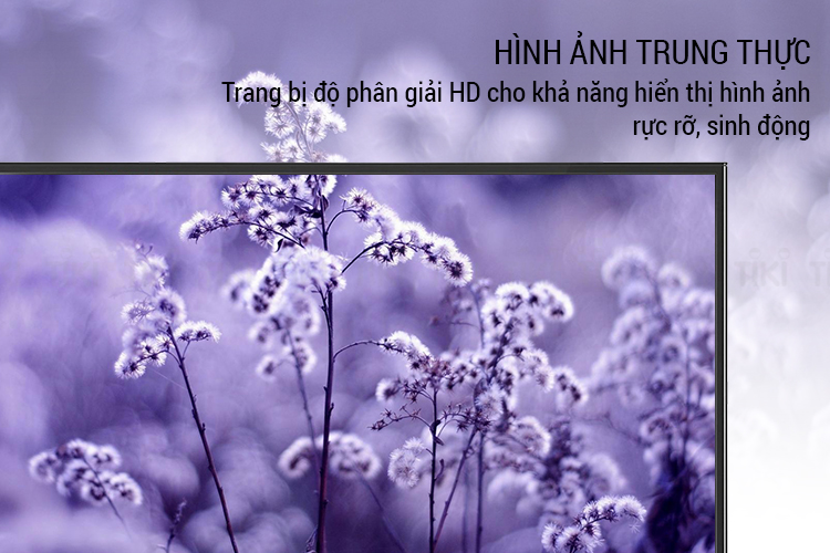 Tivi TCL 32 inch HD L32D2900 - Hàng Chính Hãng