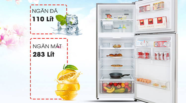 Tủ Lạnh Inverter LG GN-M422PS (393L)