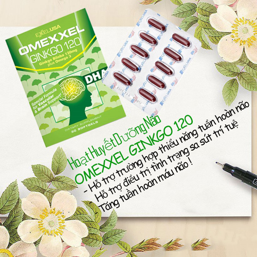 Thực Phẩm Chức Năng Viên Uống Hoạt Huyết Dưỡng Não Omexxel Ginkgo 120 (30 Viên)