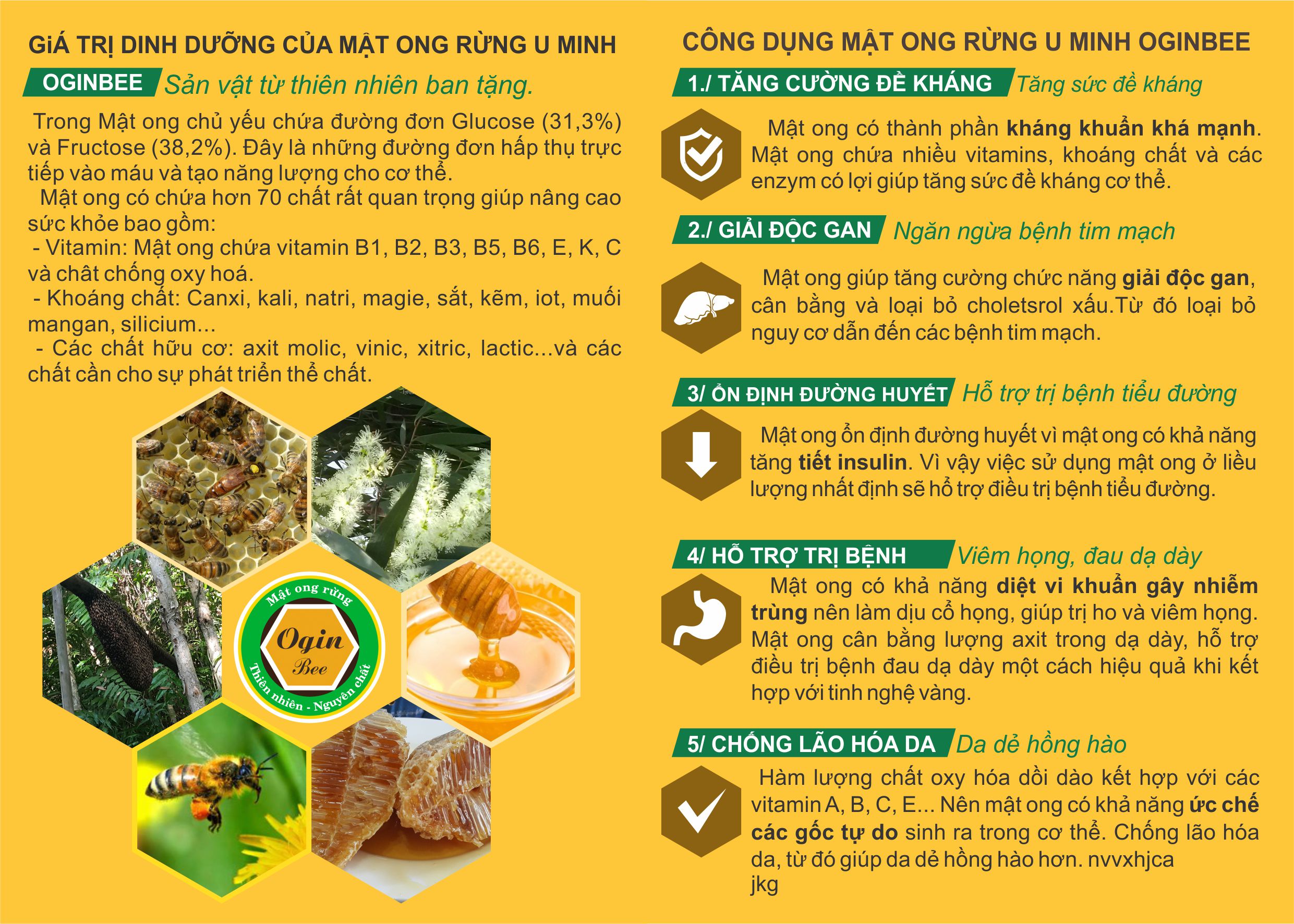 thanh-phan-mat-ong-rung-u-minh