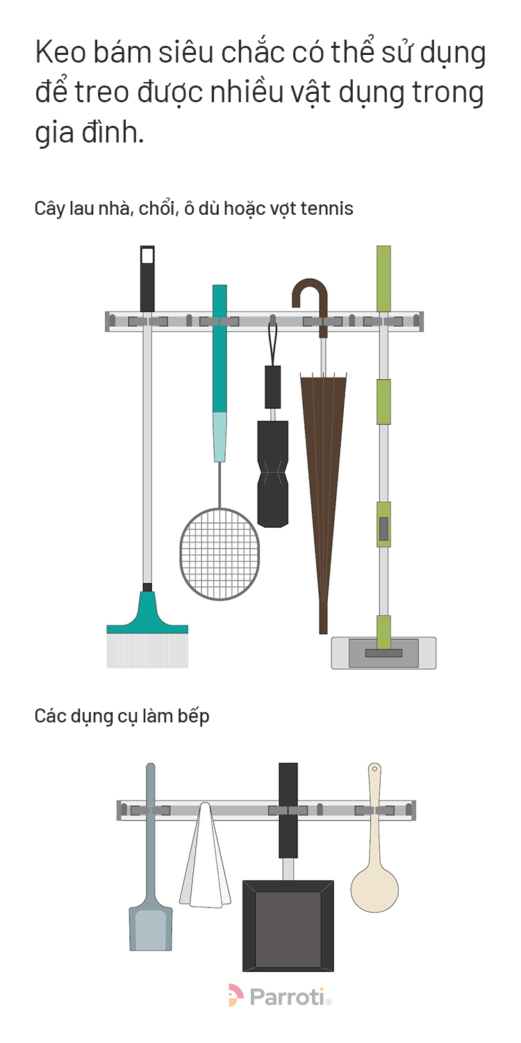 Cây lau nhà Parroti