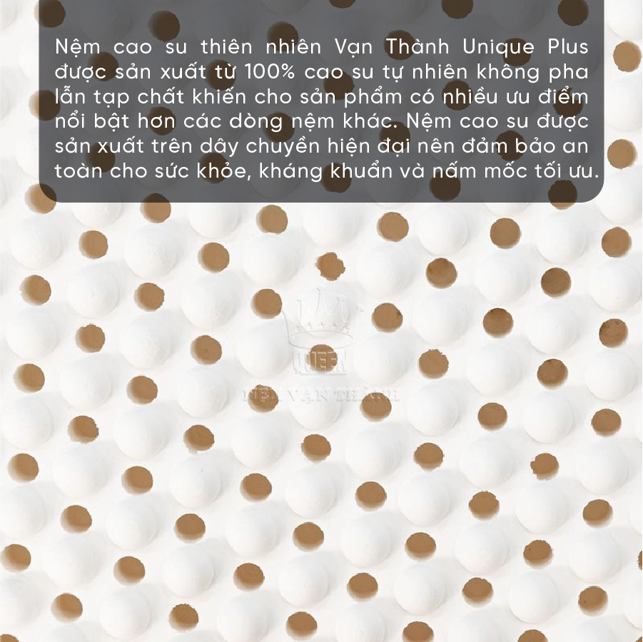  Nệm Cao Su Thiên Nhiên Vạn Thành Unique Plus