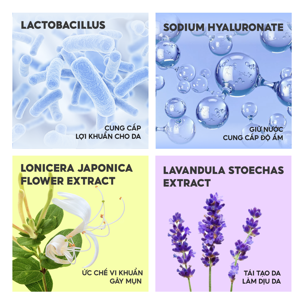 Toner Lalamos: Lactobacillus cân bằng da, Hyaluronic Acid cấp ẩm sâu, chiết xuất hoa kim ngân kháng khuẩn, hoa oải hương làm dịu da. #lalamos #toner #lamdepda #chamsocda #duongam #khangkhuan #kimnganhoa