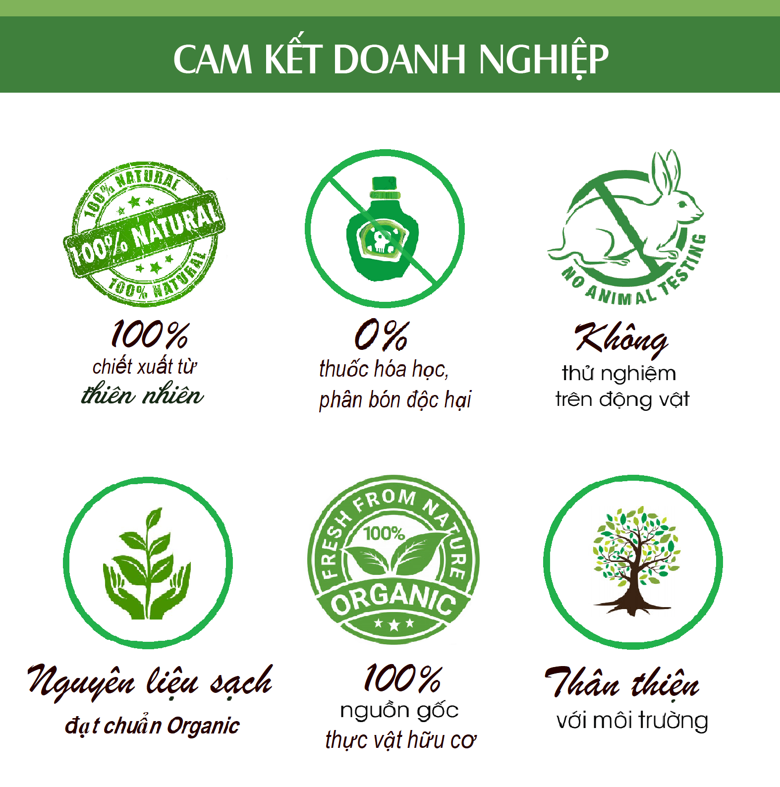 Tinh dầu Gừng nguyên chất từ thiên nhiên, Thơm Phòng, Khử Mùi, Kháng Khuẩn, Đuổi Muỗi, Giữ Ấm - KingOil