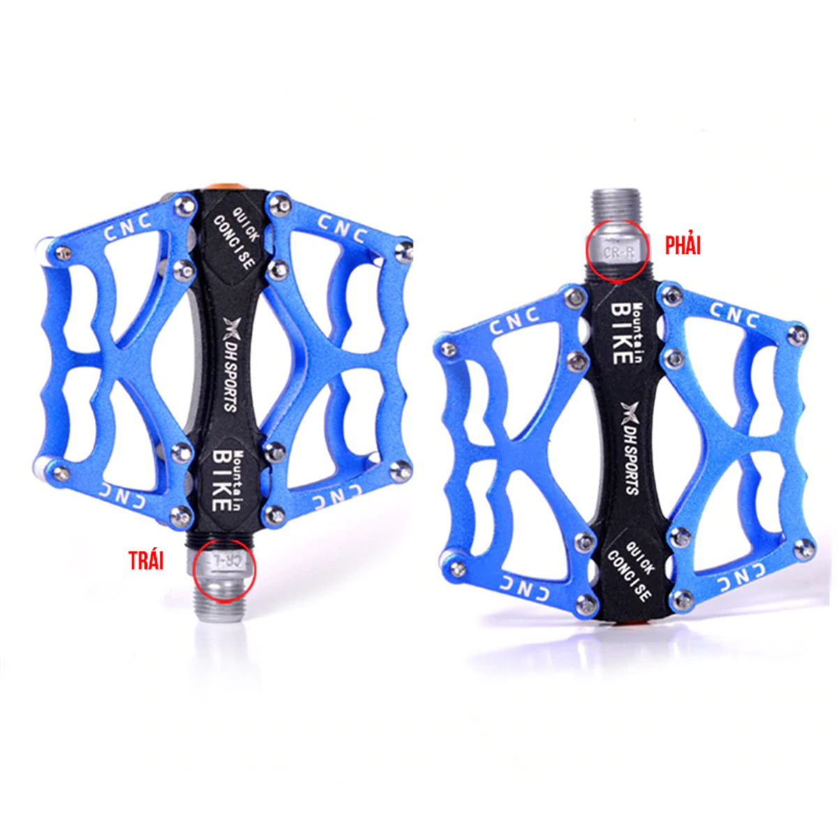 pedan-ban-dap-xe-dap