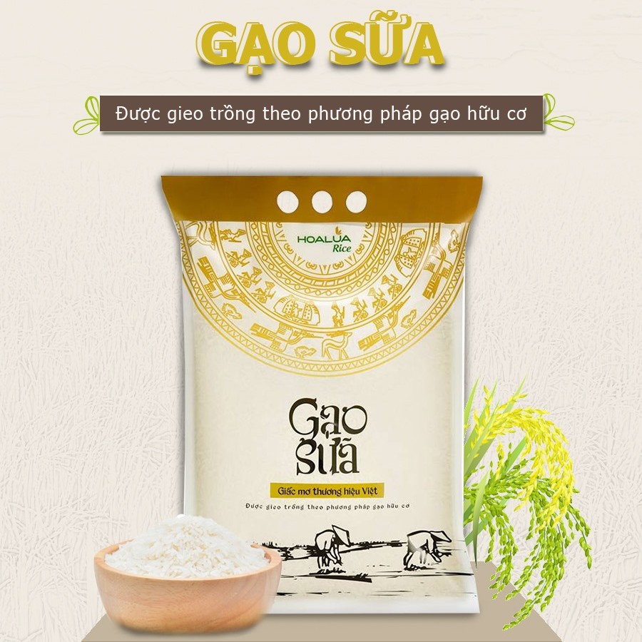 GẠO SỮA THƯỢNG HẠNG 5kg - Gạo Hoa Lúa 2