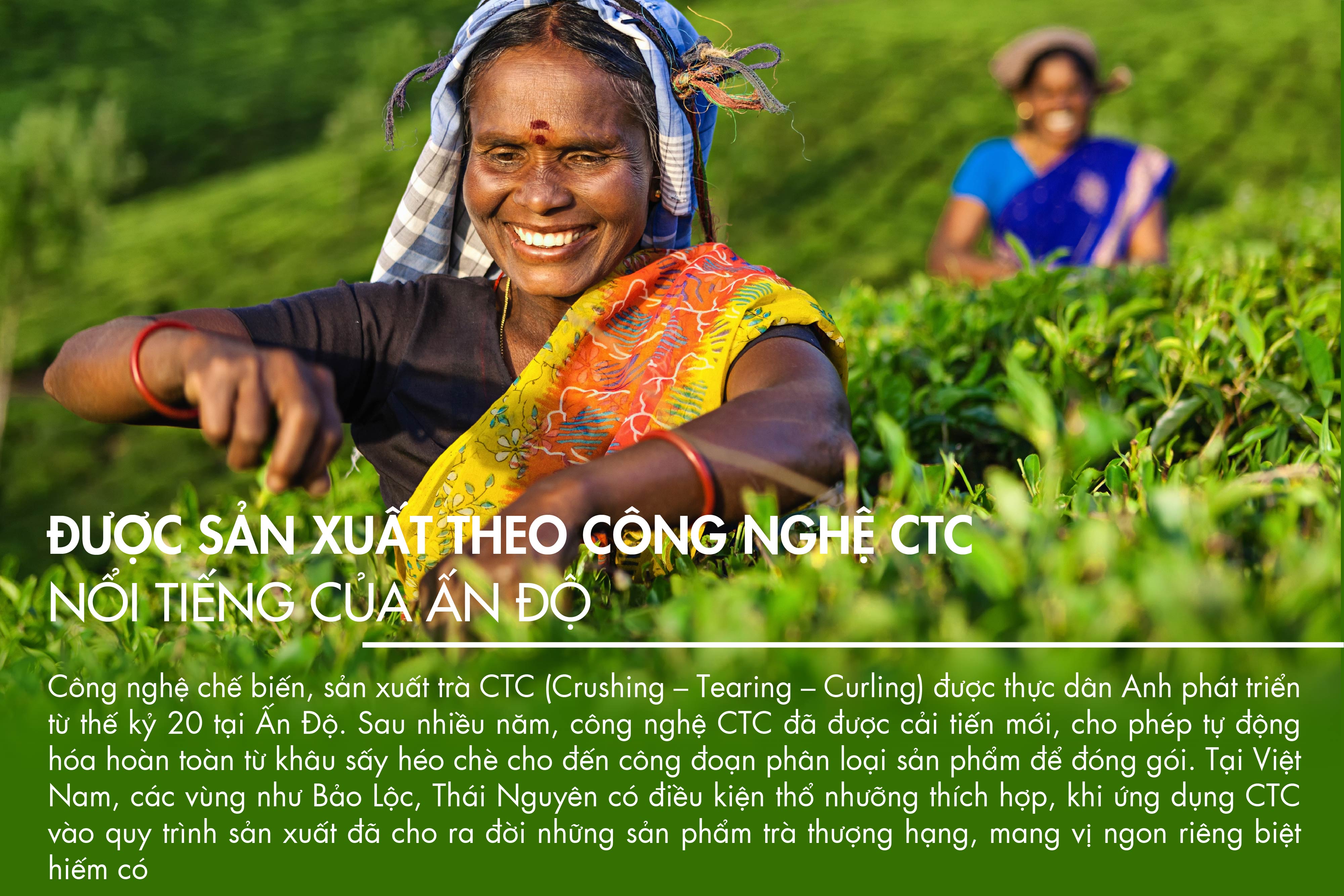 Trà Đen Viên B471 Dotea 500g/ 100g - Chát Đặc Ngọt Hậu Hương Thơm Nồng Đượm