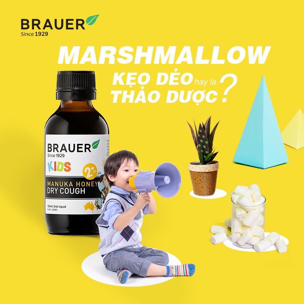 Hỗ Trợ Chữa Ho Cho Trẻ Brauer Kids Manuka Honey Dry Cough Chứa Các Thành Phần Thảo Dược Làm Giảm Các Cơn Ho Là Cách Hỗ Trợ Chữa Ho Cho Bé Hiệu Quả Lọ 100ml 3