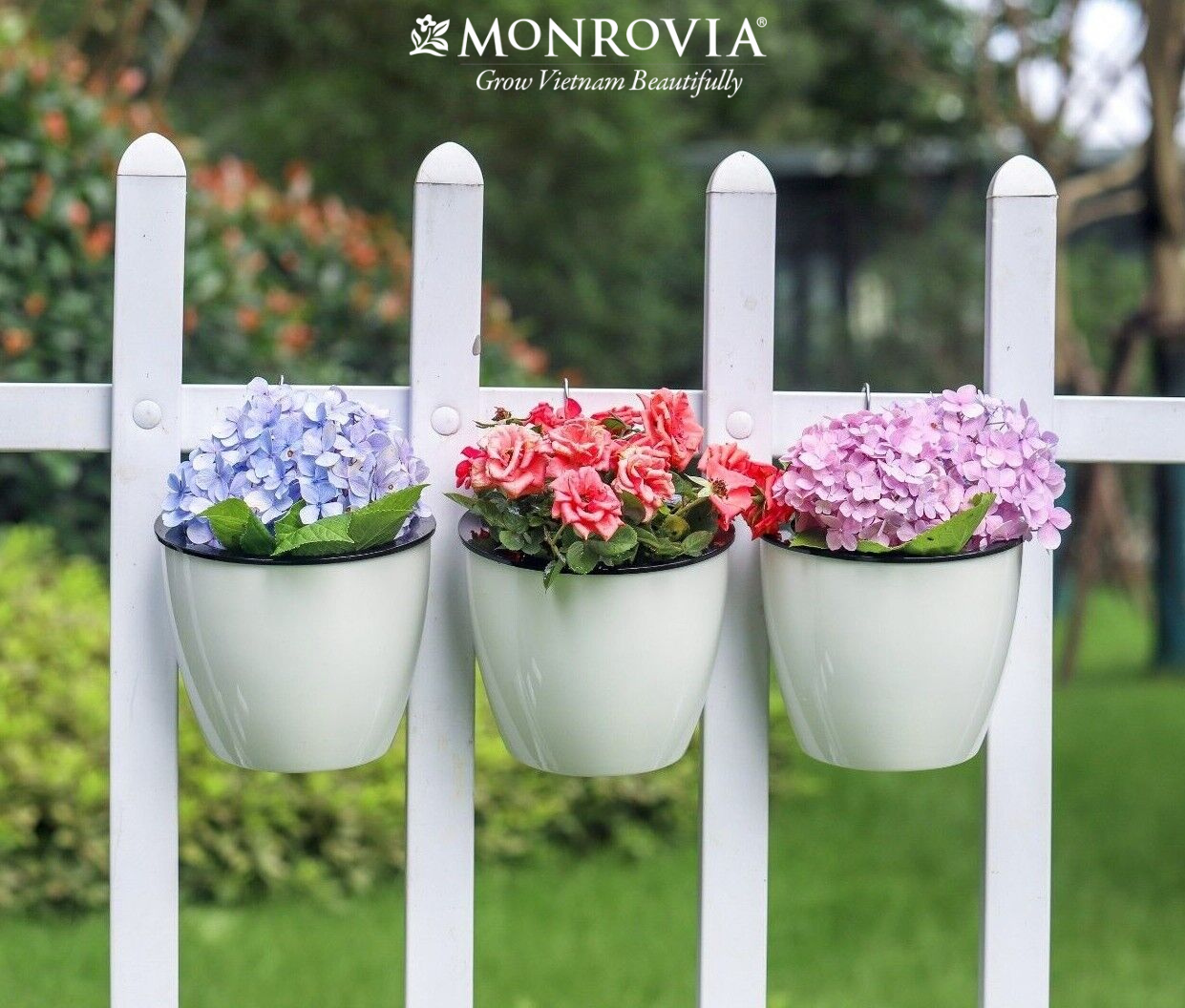 Chậu tự tưới treo tường MONROVIA, trang trí trong nhà, ban công, tiện lợi, sang trọng, tiêu chuẩn châu Âu