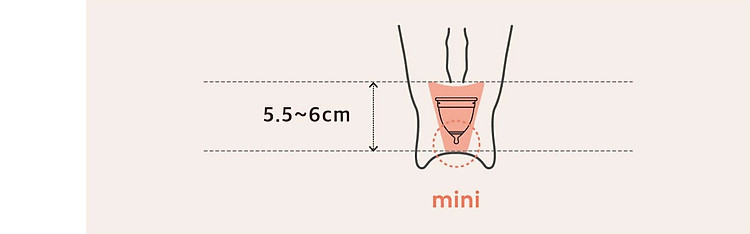 Cốc Nguyệt San EVE CUP 100% silicone Y Tế, chuẩn FDA Hoa Kỳ - Hỗ trợ chu kỳ 5