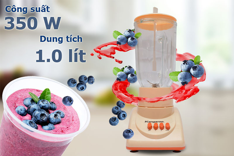 Máy Xay Sinh Tố Kangaroo KG 305