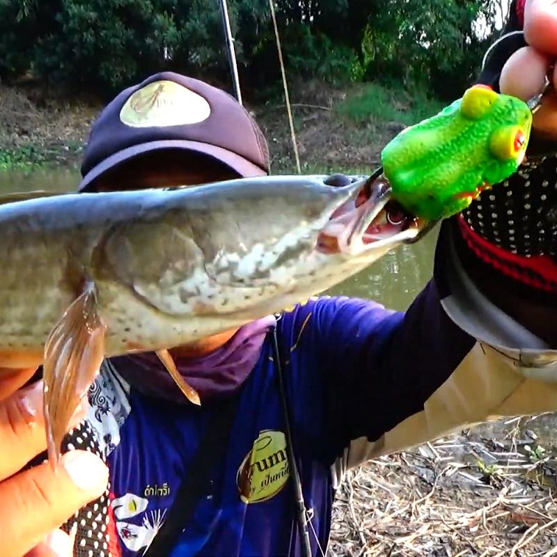 Lên cá nhờ Mồi Câu Cá Lóc, Cá Chẽm, Cá Tráp Jump Mắt Lồi Cực Nhạy (7g / 38mm)