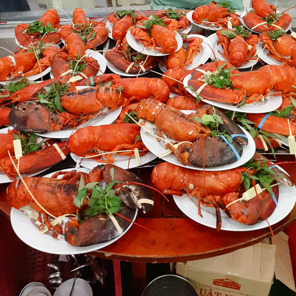 Combo 3 con tôm hùm Alaska Sống Size 500g