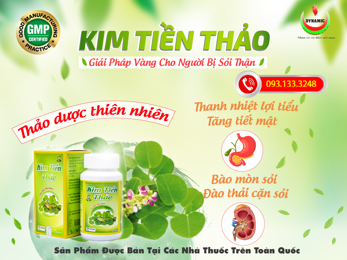 KIM TIỀN THẢO - NĂNG ĐỘNG - LÀM TAN SỎI THẬN SỎI, MẬT