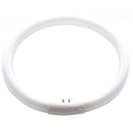 Đèn Huỳnh Quang Dạng Vòng Foshan Lighting (FSL) T5 (32W)