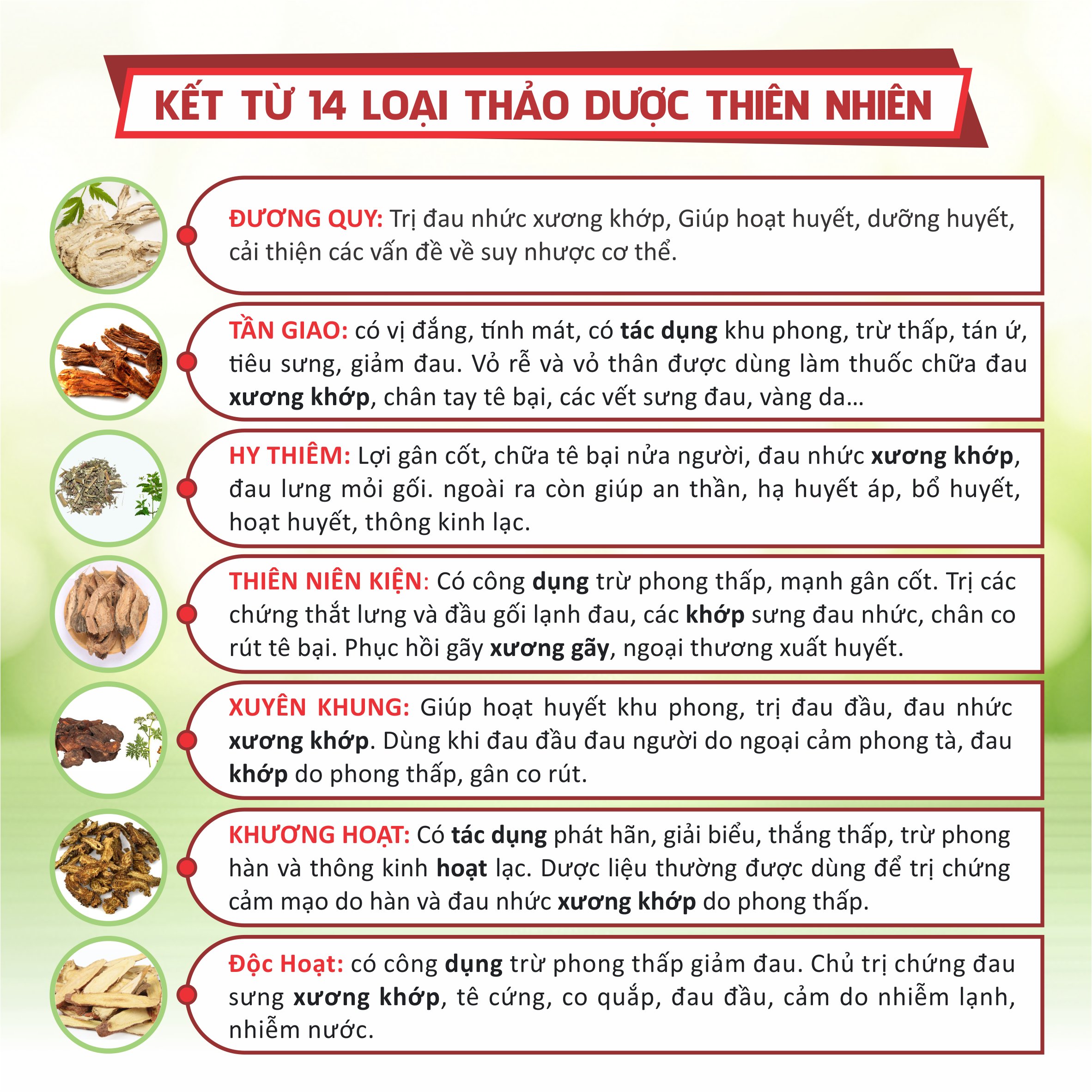 Thành Phần Dược Liệu