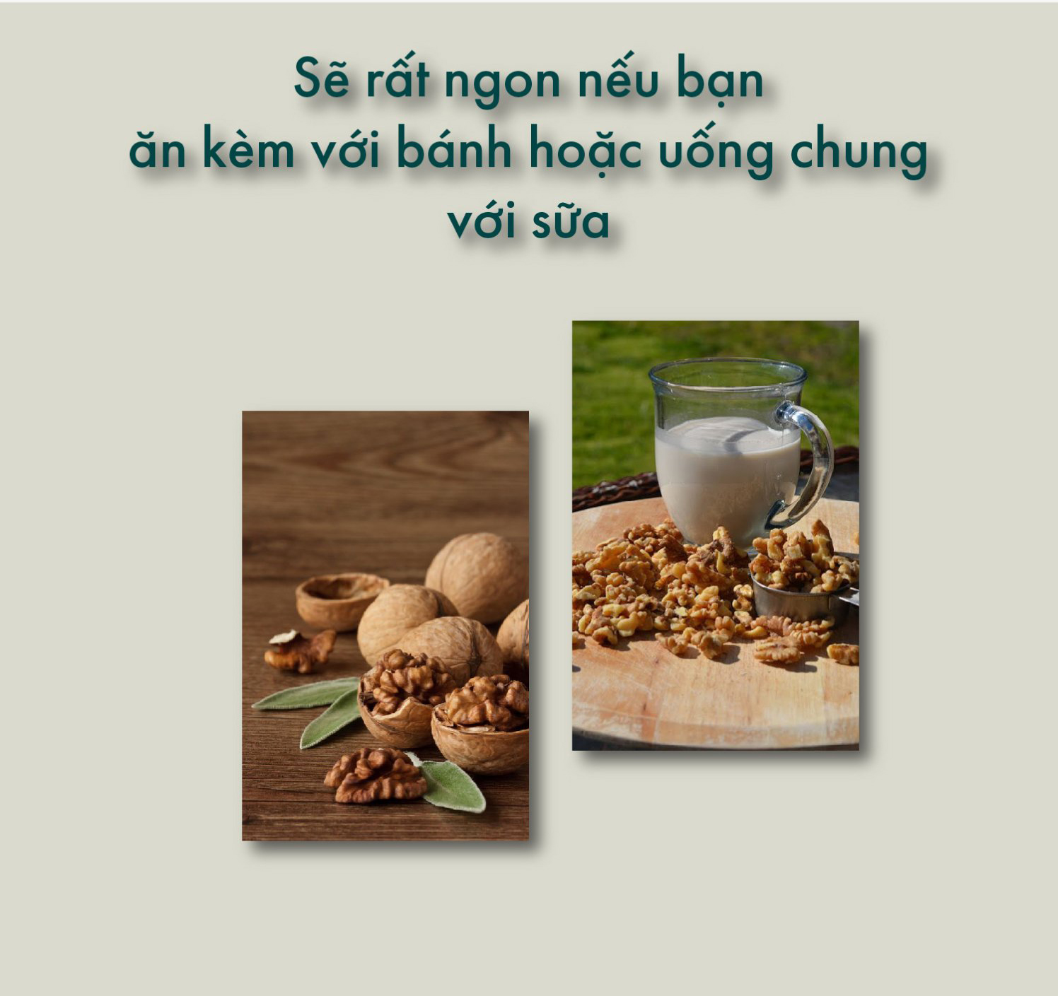 uong chung voi sua