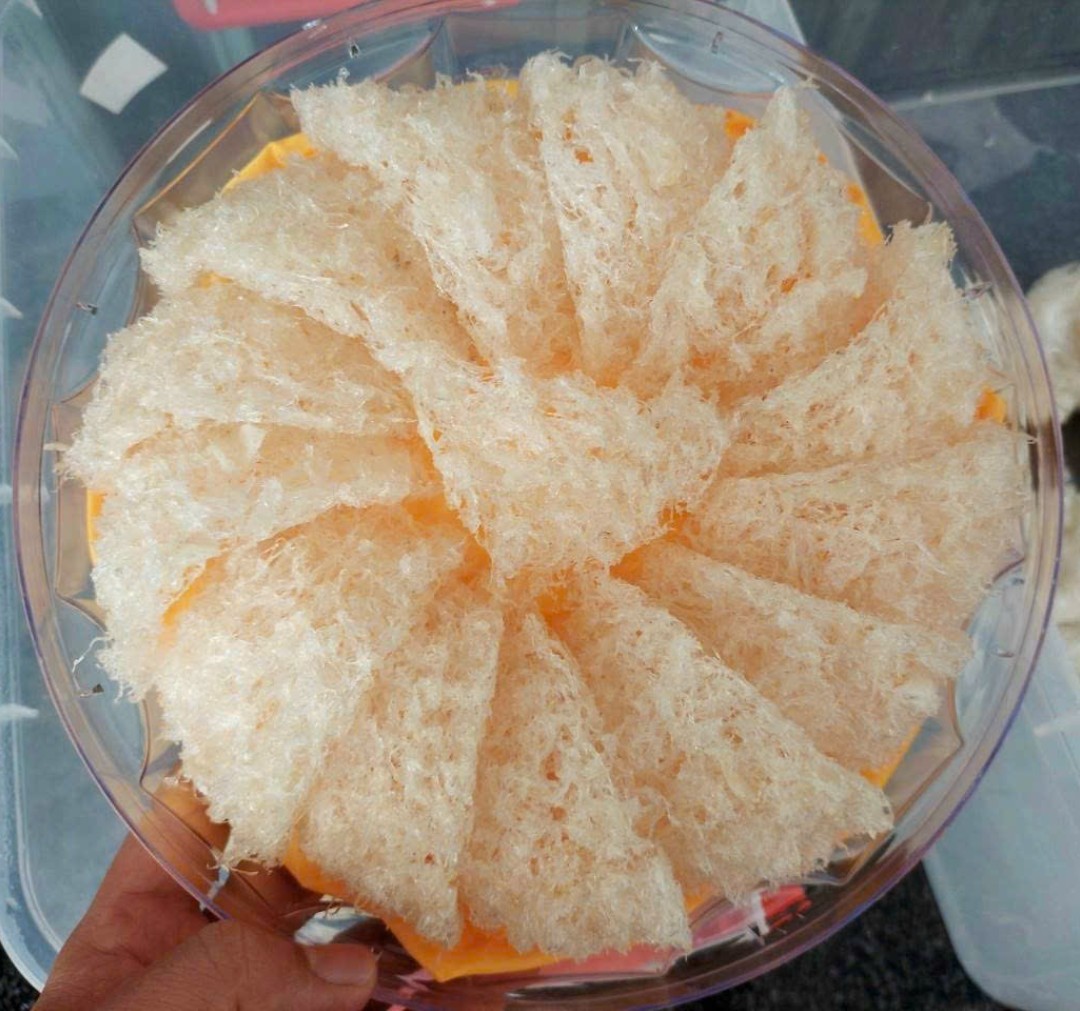 Yến Vụn sạch RiNest - Yến Vụn To, Vụn Việt Nam - 100gr - Hàng chính hãng.