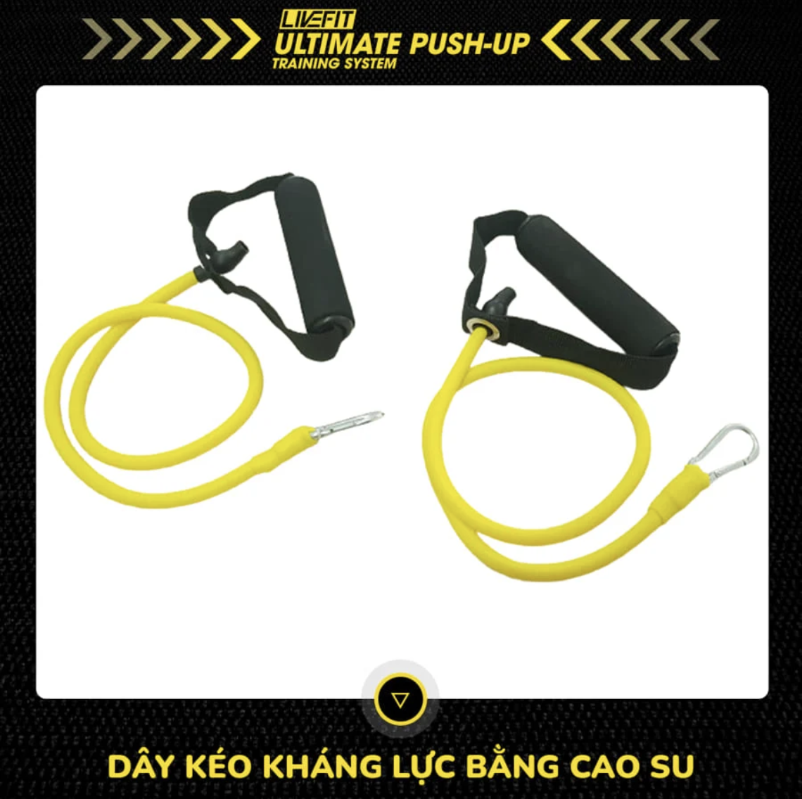 Bộ dụng cụ hít đất và tập luyện thể thao chuyên nghiệp LiveFit 18 trong 1