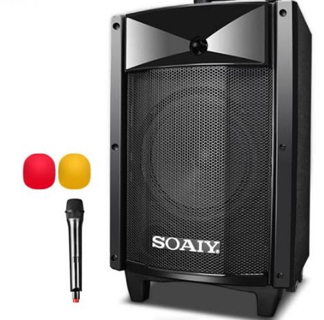 Loa Kèm Micro Không Dây Soaiy SA-T18