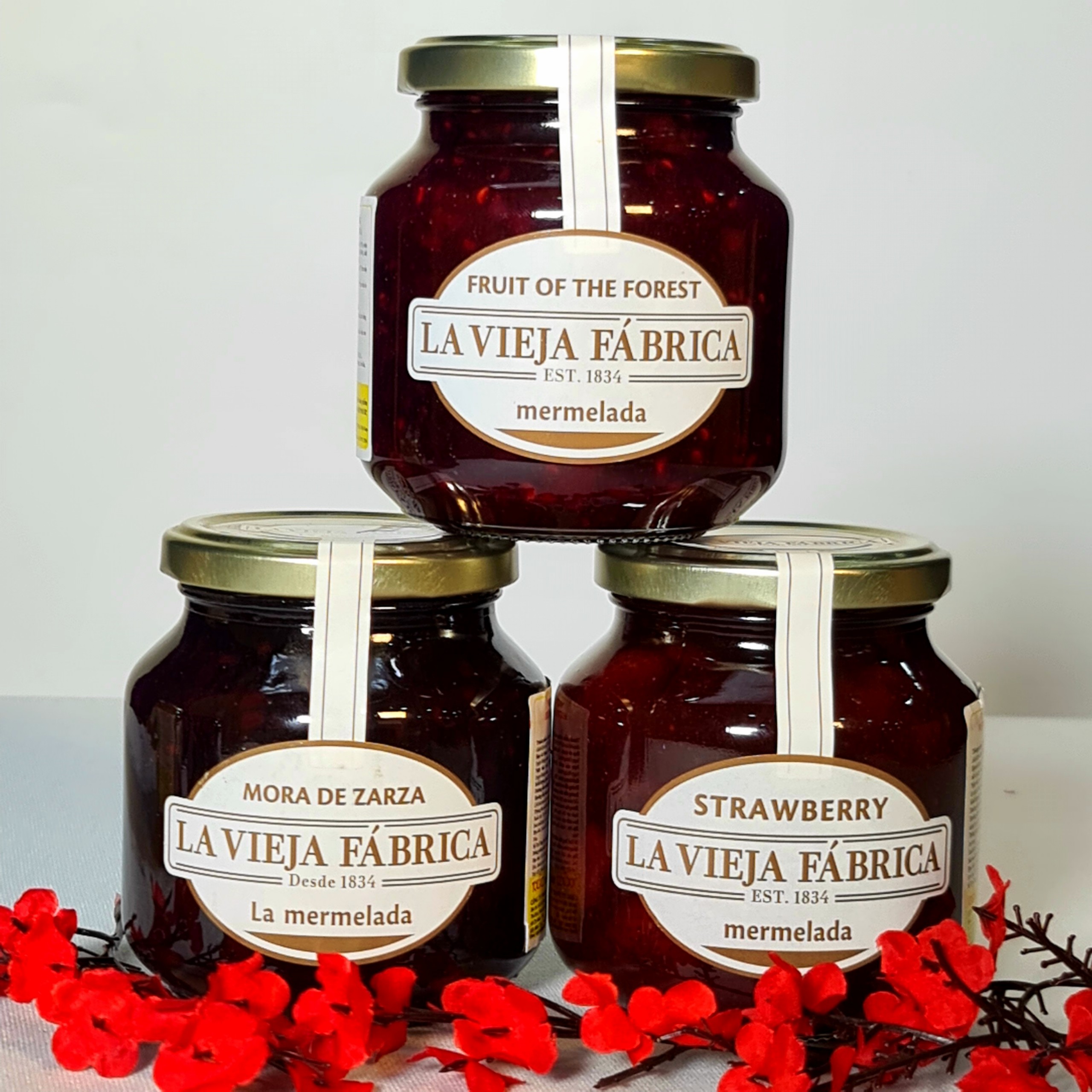MỨT DÂU TÂY LA VIEJA FÁBRICA 350gr