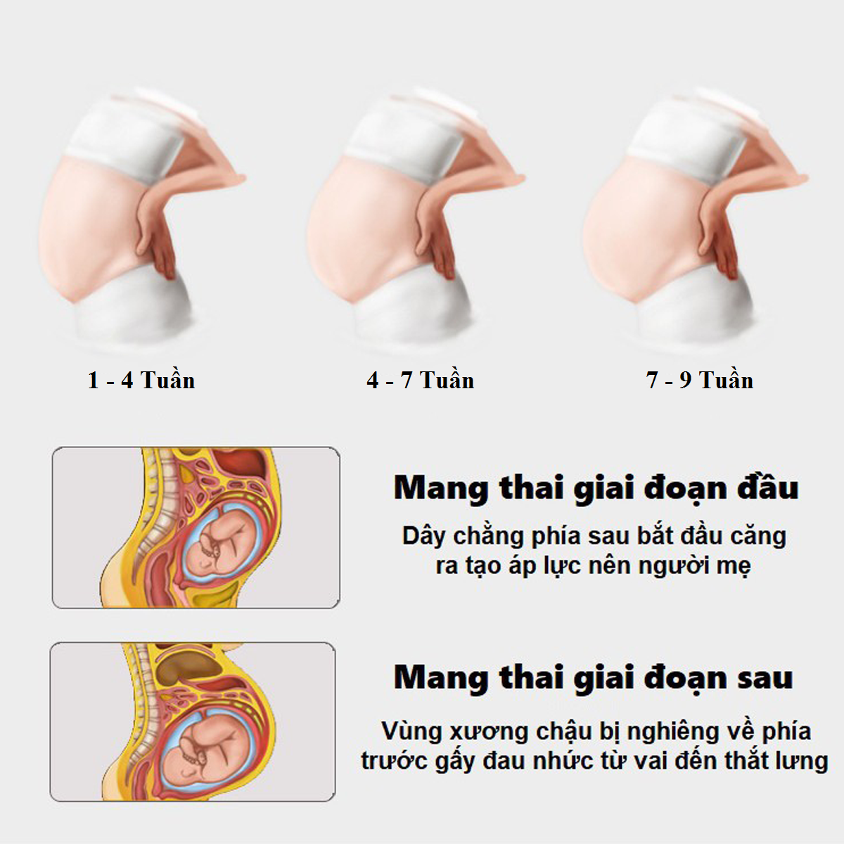 Đai Đỡ Bụng Bầu Cho Mẹ Bầu Chính Hãng Amalife - Nhiều size 3