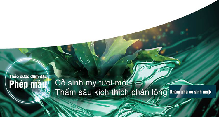 Dầu Gội Thảo Dược ESSEHAIR