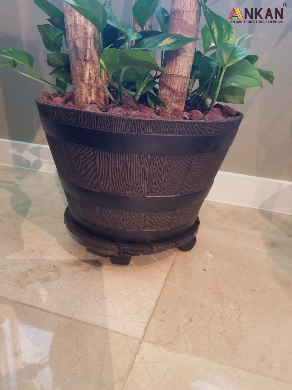 de-lot-chau-cay-co-banh-xe