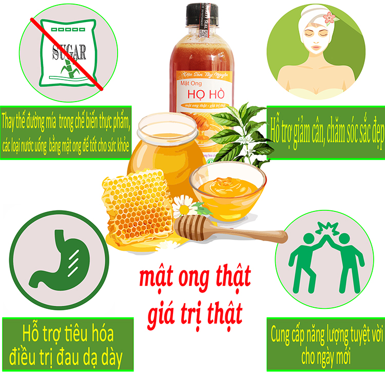 Mật Ong Hoa Cà Phê Nguyên Chất 1L (Lốc 2 chai 500mL) - Mật Ong Họ Hồ Mật Ong Thật - Giá Trị Thật