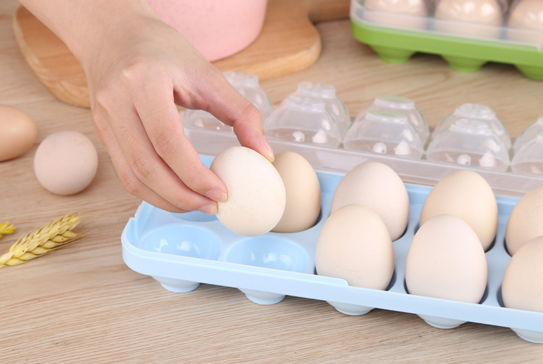 Khay đựng trứng bằng nhựa đa năng tiện dụng( Màu Xanh )