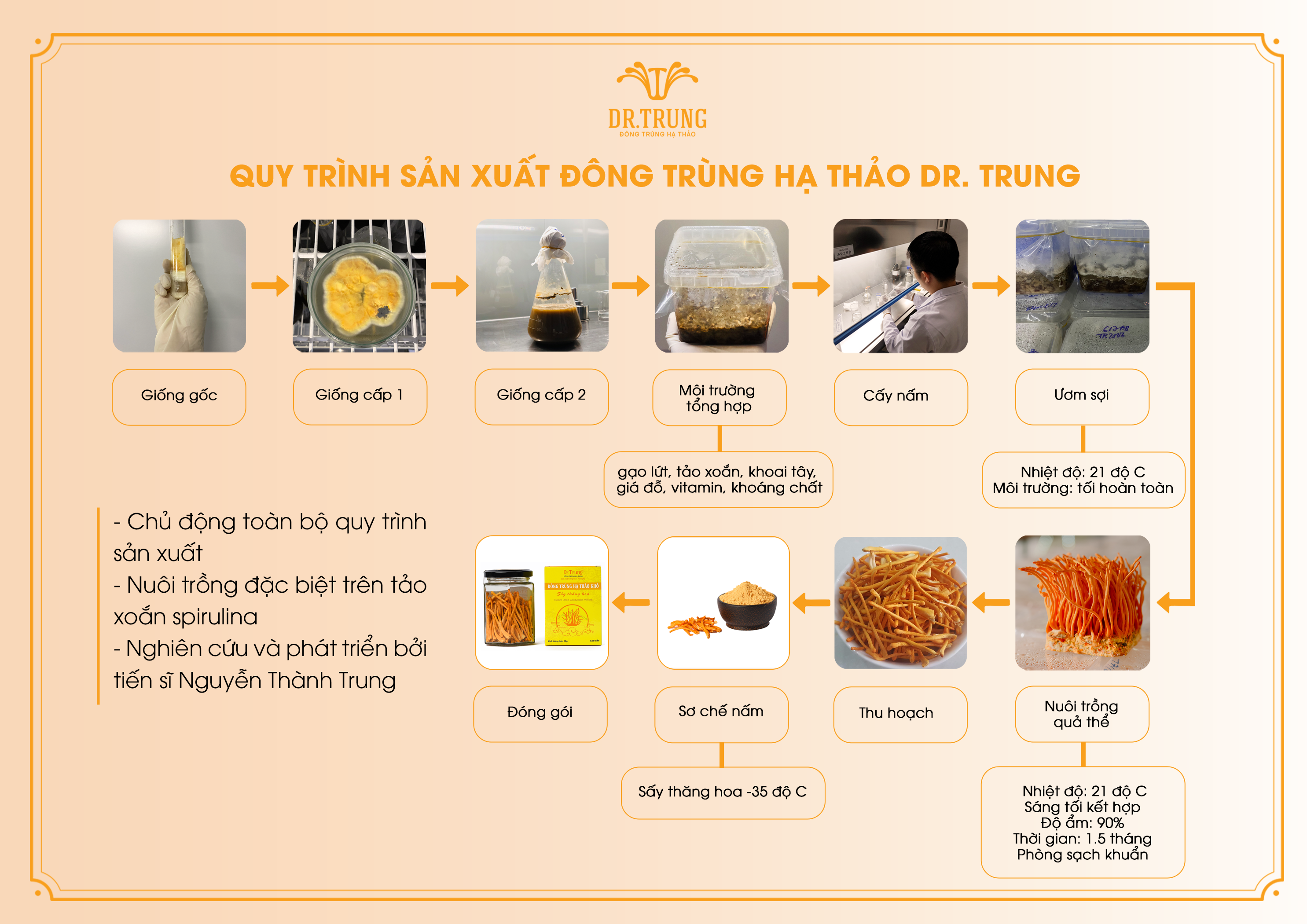 Đông trùng hạ thảo Dr. Trung Sấy thăng hoa hũ 12 gram - loại TIÊU CHUẨN - Công thức cải tiến bổ sung tảo Spirulina và Protein thực vật tạo dược chất cao, màu cam đậm, Giúp cải thiện giấc ngủ, Ổn định huyết áp 2