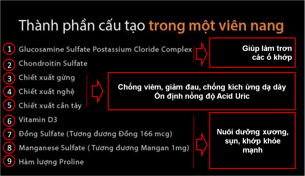 Bộ sản phẩm xương khớp nhập khẩu chính hãng trong uống ngoài bôi gồm: Viên uống GO Glucosamine 1-A-Day 1500mg (30 viên) và Kem bôi khớp Stabil (75 gam)